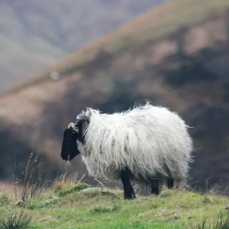 Bed and Breakfast Bay 3*