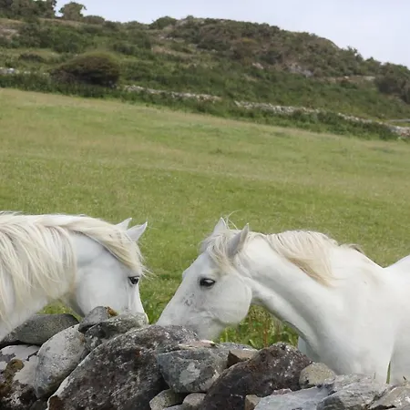 Bed & Breakfast Bay Clifden