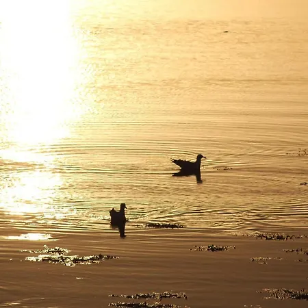 Bed & Breakfast Bay Clifden