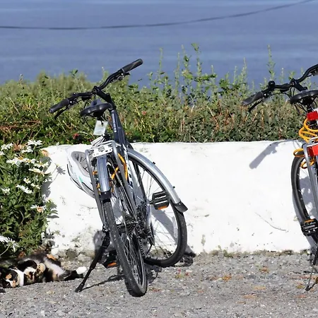 Bay Bed and Breakfast