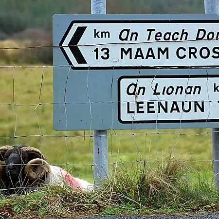 Bay 4* Clifden