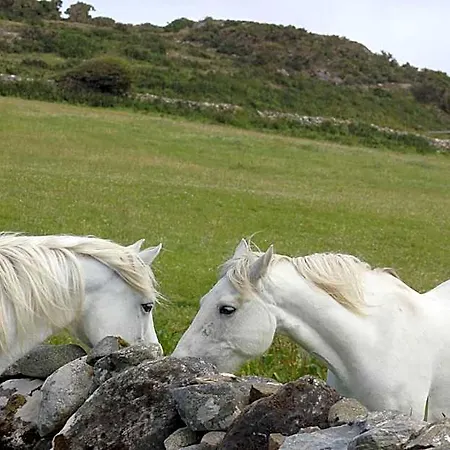 Bay 4* Clifden