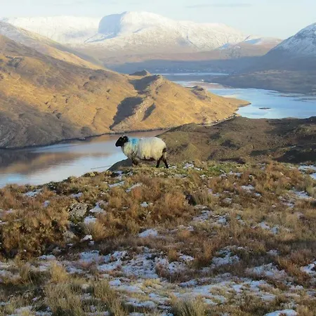 Bay Bed & Breakfast Clifden