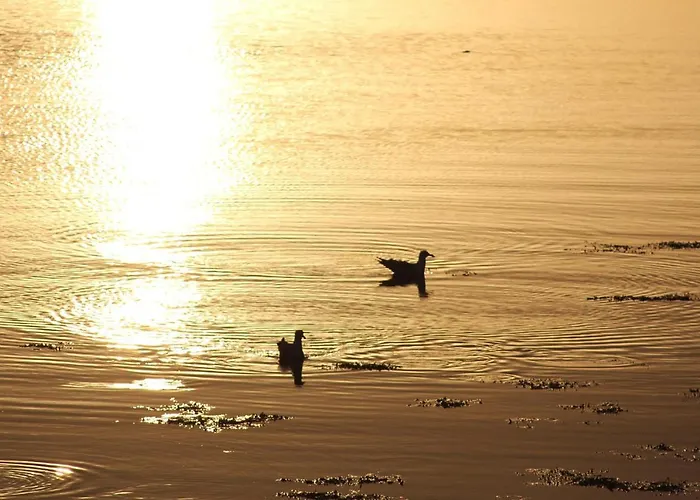 Couette-café Bay Clifden