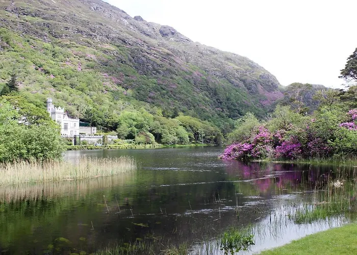 Couette-café Bay Clifden