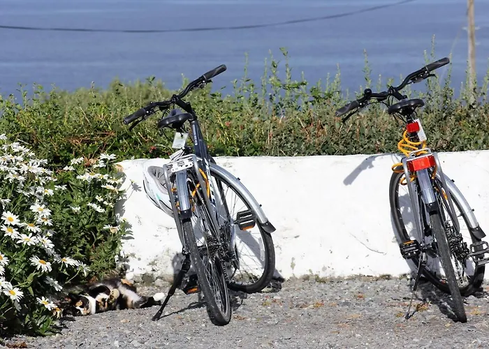 Bay 住宿加早餐酒店