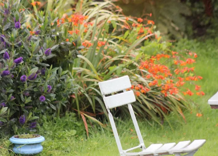 住宿加早餐酒店 Bay 克利夫登