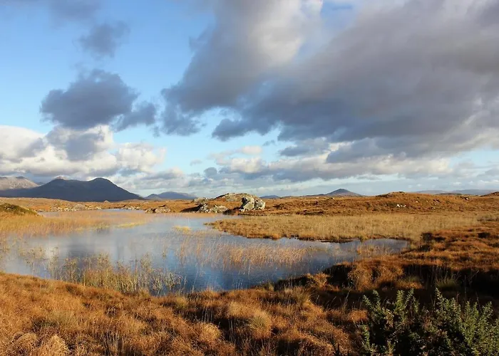 Couette-café Bay Clifden