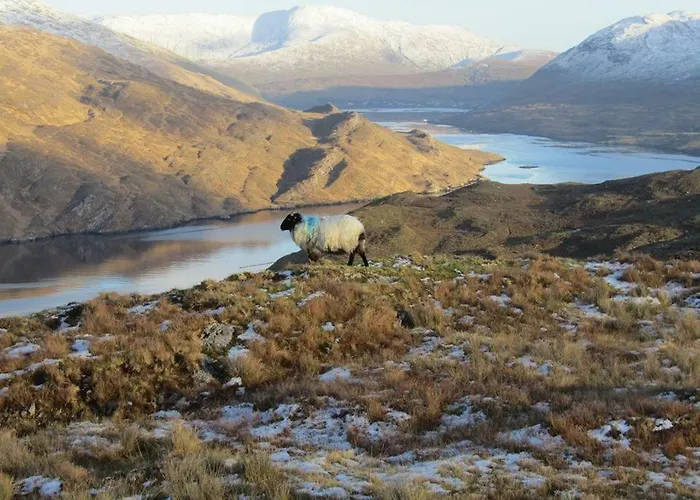 Bay 住宿加早餐酒店 克利夫登